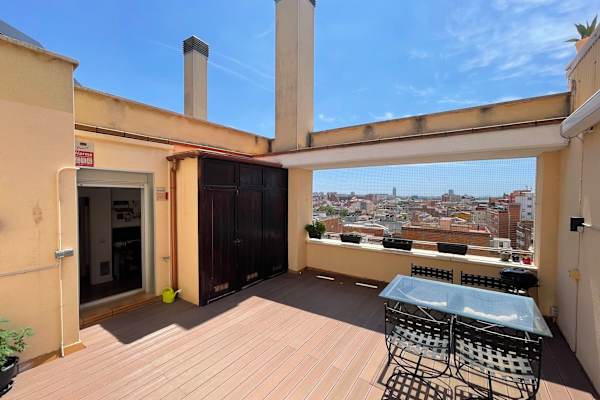 House sit in L'Hospitalet de Llobregat, Spain