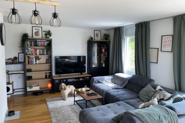 House sit in Winterthur, Switzerland