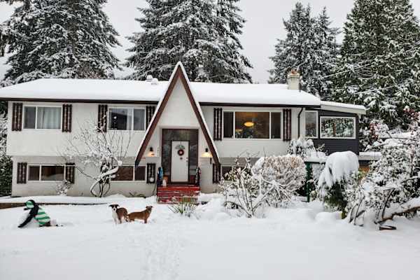 House sit in Nanaimo, BC, Canada