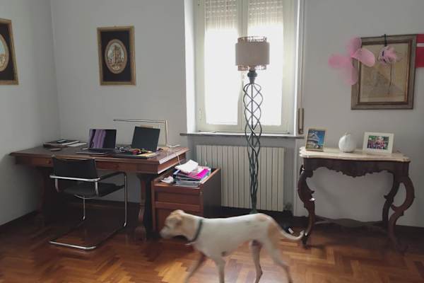 House sit in Pescara, Italy