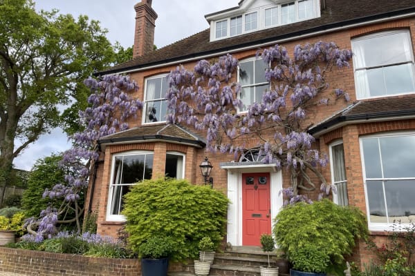 House sit in Hartfield, United Kingdom