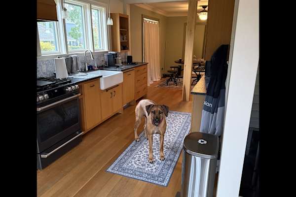 House sit in Bellingham, WA, US