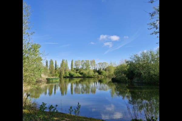 House sit in London, United Kingdom