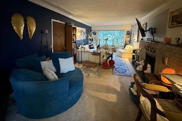 House sit in Vancouver, BC, Canada