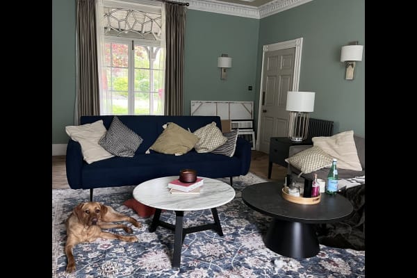 House sit in Macclesfield, United Kingdom