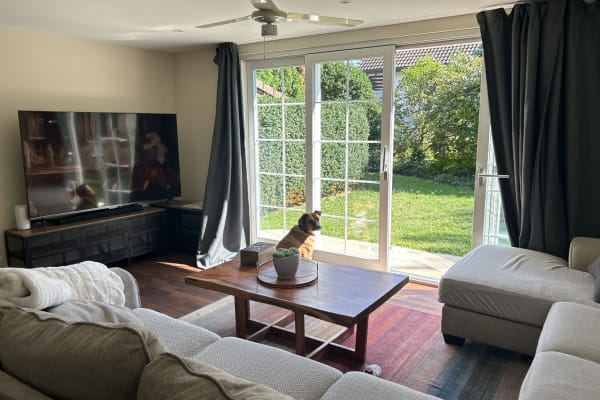 House sit in Zug, Switzerland