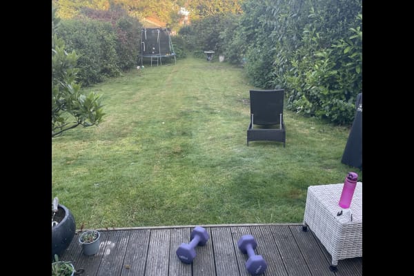 House sit in Cranbrook, United Kingdom