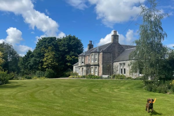 House sit in Saint Andrews, United Kingdom