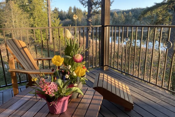 House sit in Vesuvius, BC, Canada