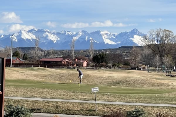 House sit in Montrose, CO, US