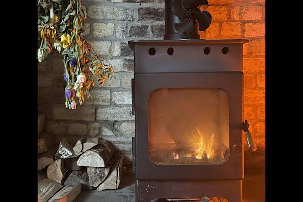 House sit in Newcastle upon Tyne, United Kingdom