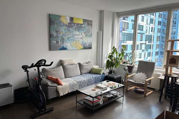 House sit in Brooklyn, NY, US