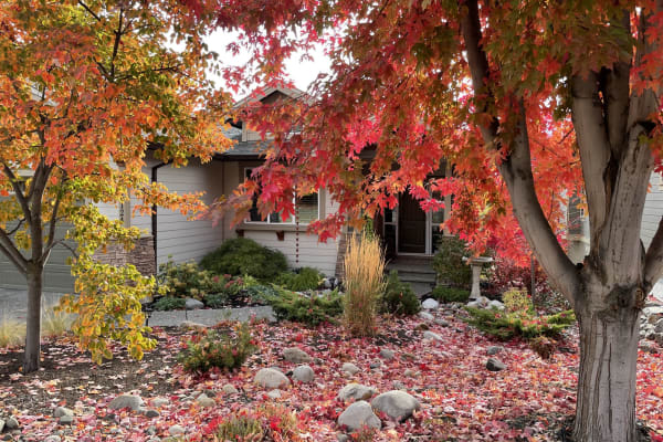 House sit in Vernon, BC, Canada