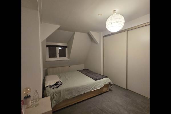 House sit in Berlin, Germany