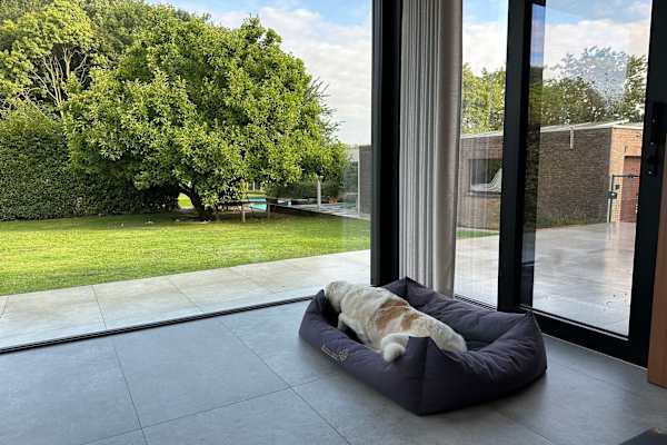 House sit in Gent, Belgium