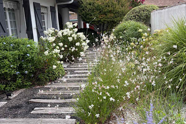 House sit in Anglet, France