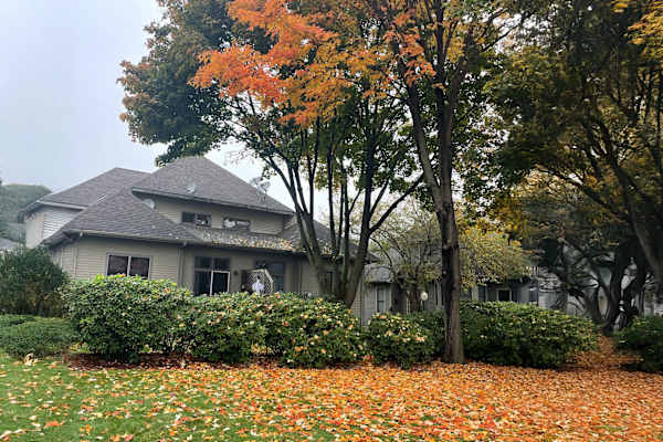 House sit in Belmont, MA, US