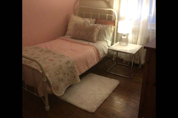 House sit in Toronto, ON, Canada