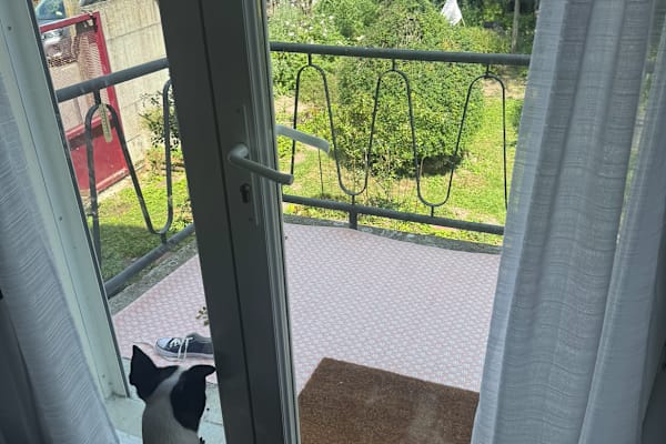House sit in Reims, France
