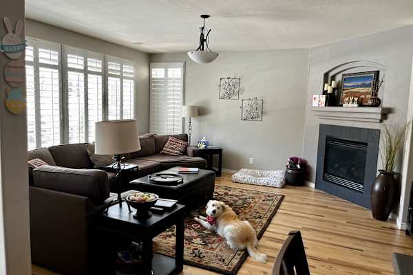 House sit in Broomfield, CO, US