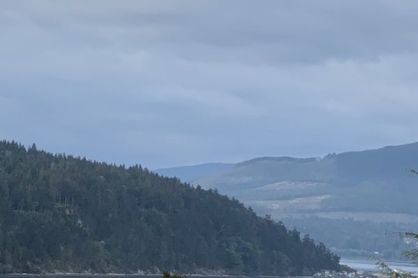 House sit in Port Townsend, WA, US