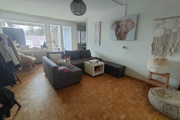House sit in Horgen, Switzerland
