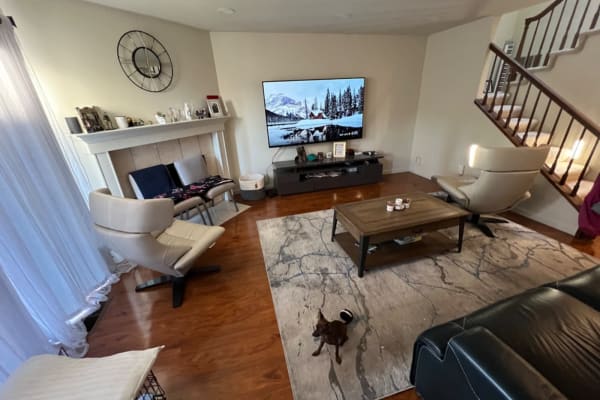 House sit in Foster City, CA, US