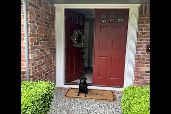 House sit in Mercer Island, WA, US