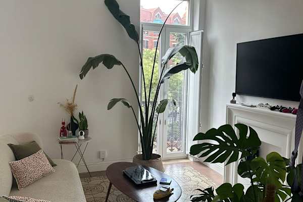 House sit in Valencia, Spain