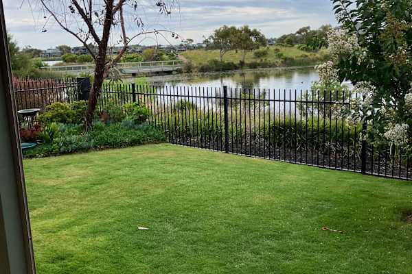 House sit in Geelong, VIC, Australia