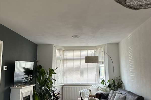 House sit in Haarlem, Netherlands