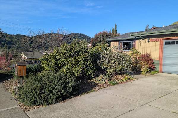 House sit in Pinole, CA, US