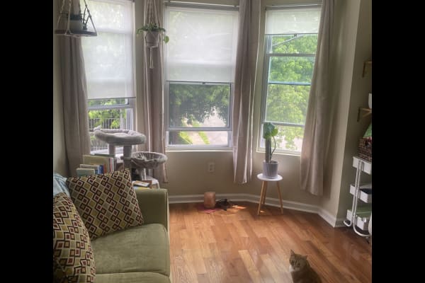 House sit in Philadelphia, PA, US