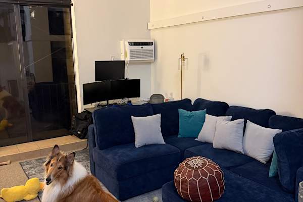House sit in New York City, NY, US