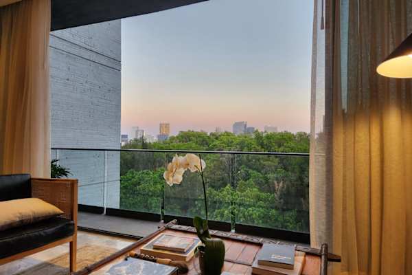 House sit in Guadalajara, Mexico