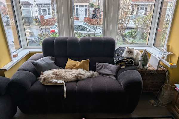 House sit in Morecambe, United Kingdom