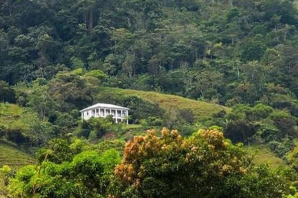 House sit in San Isidro, Costa Rica