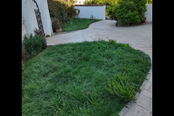 House sit in Exmouth, United Kingdom