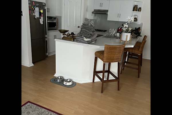 House sit in Adelaide, SA, Australia