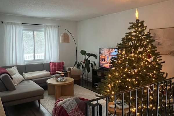 House sit in Minneapolis, MN, US