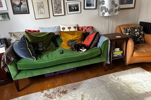 House sit in City of London, United Kingdom