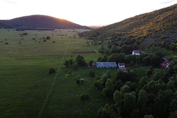 House sit in Zadar, Croatia