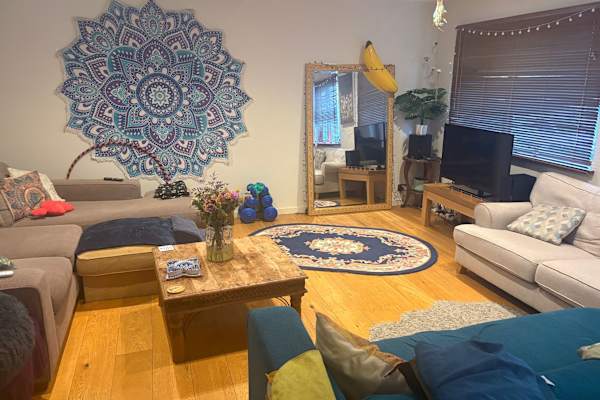 House sit in Brighton, United Kingdom