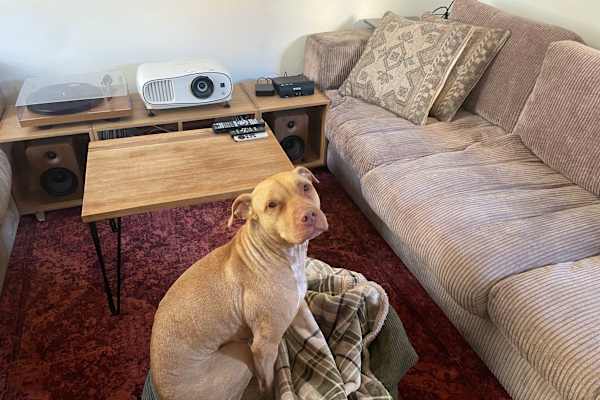 House sit in Melbourne, VIC, Australia