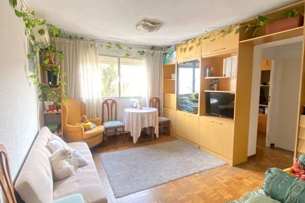 House sit in Madrid, Spain