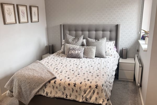 House sit in South Shields, United Kingdom