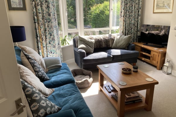 House sit in Thames Ditton, United Kingdom