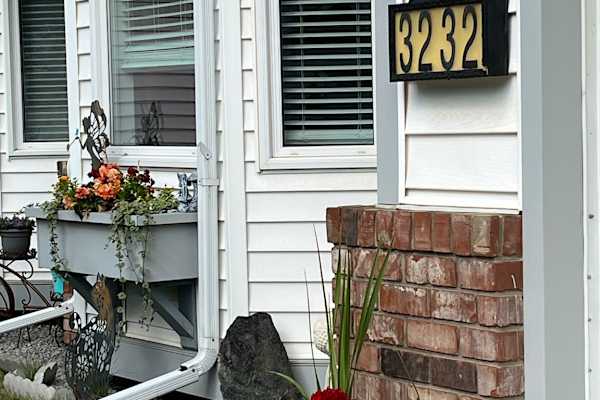 House sit in Edmonton, AB, Canada