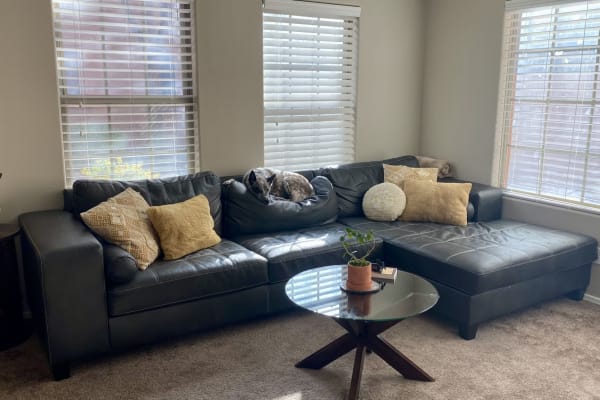 House sit in Gilbert, AZ, US