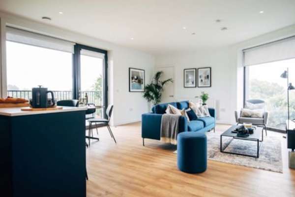 House sit in Stillorgan, Ireland